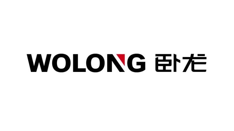 卧龙电机(图1)